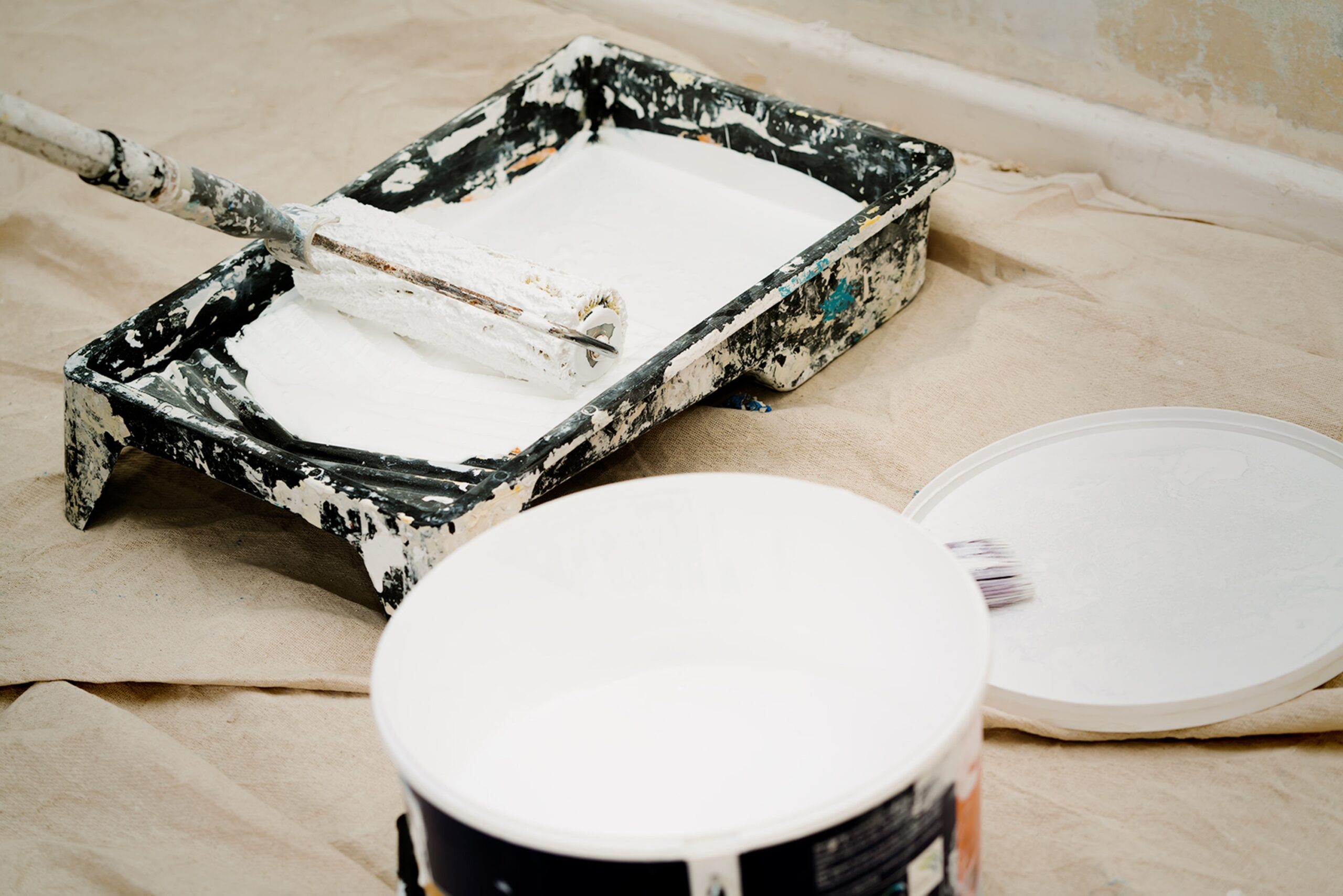 bidvine paint 4191399 scaled.jpg